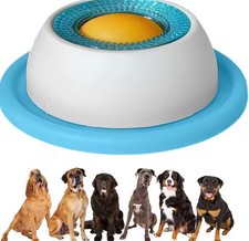 Jeux Chien Ou Chat À Lécher