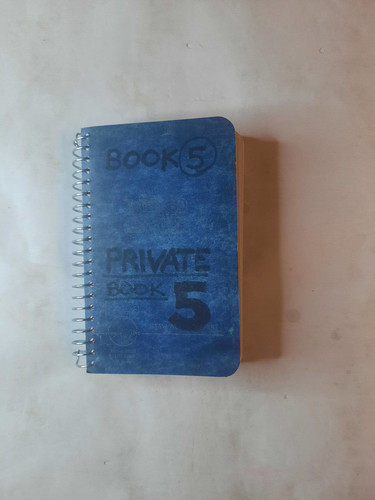 Lee lozano private book - lee,
