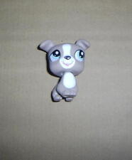 LITTLEST PETSHOP CHIEN  PUPPY DOG  LPS 1463  JACK RUSSEL OU PITBULL BLUE EYES