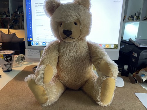 Ours peluche steiff tier - en,