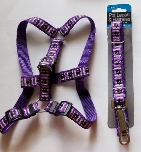 Dog leash with harnes - with,