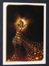 #630 TROPHEE PANINI FOOTBALL FIFA WORLD CUP 2010 COUPE MONDE