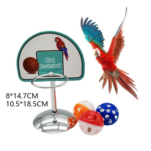 Jouets entraînement pour - jouets,