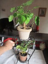 Ancienne Petite Chaise Fer forgé idéal Pot de Fleur sur Terrasse Véranda Poupée