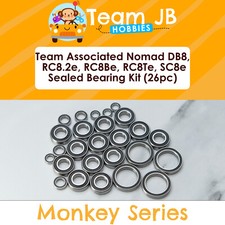 Team Associated Nomad DB8