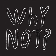 Half Japanese Why Not? (Vinyl)