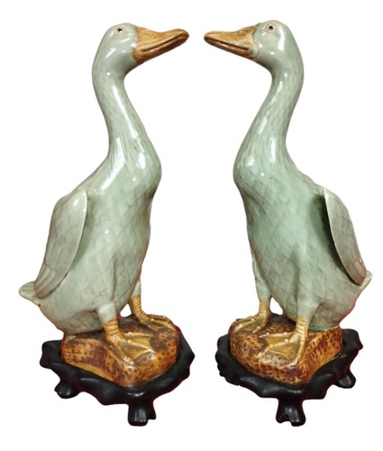Couple canards en - de,