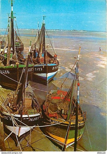 Carte postale cayeux - -, 80