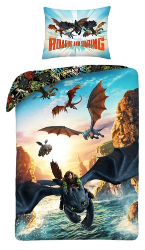 Dragon trainer housse - trainer,