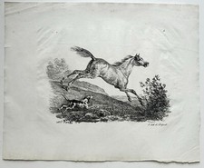CHEVAUX - Carle VERNET -