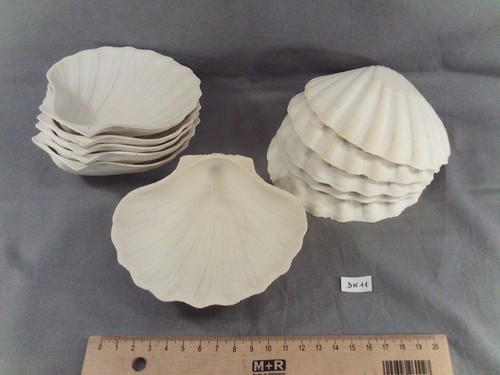 Lot coquilles st - coquilles,