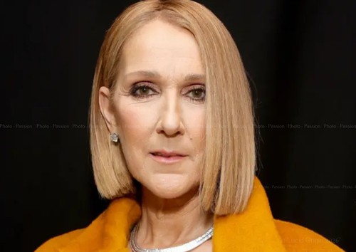 Photo céline dion portrait - céline,