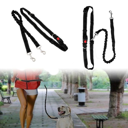 Laisse élastique pour courir