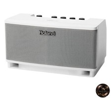 Roland Stereo Monitor