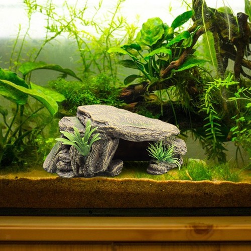 Aquarium tortue réservoir