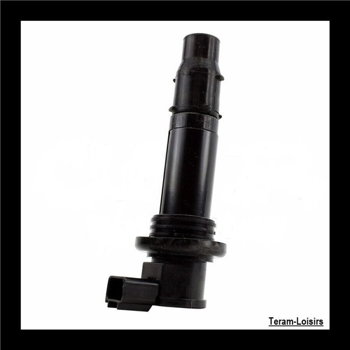 Bobine allumage crayon pour - allumage,