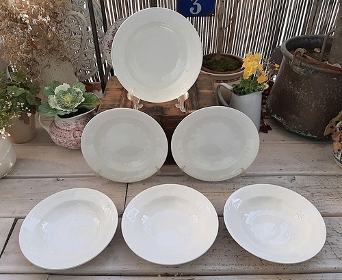 Assiettes creuses - 6,