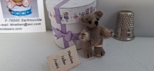 Madeleine nelken petit ours - nelken,