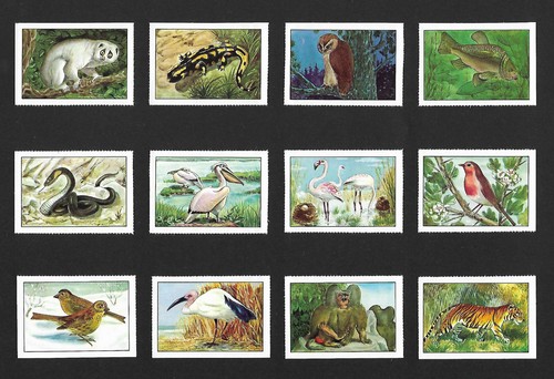Posters stamps animals and - stamps,