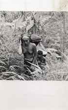 Photo vintage femme seins - photo,