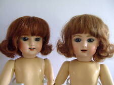 PERRUQUE 100% cheveux naturels pour/de POUPEE -Taille BLEUETTE 17cm-Bouclée