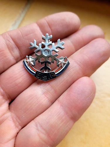 Broche ski insigne - de,