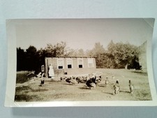 Photographie De Femme Avec Des Dindes, Oies Et Un Poulailler, Scène Rurale