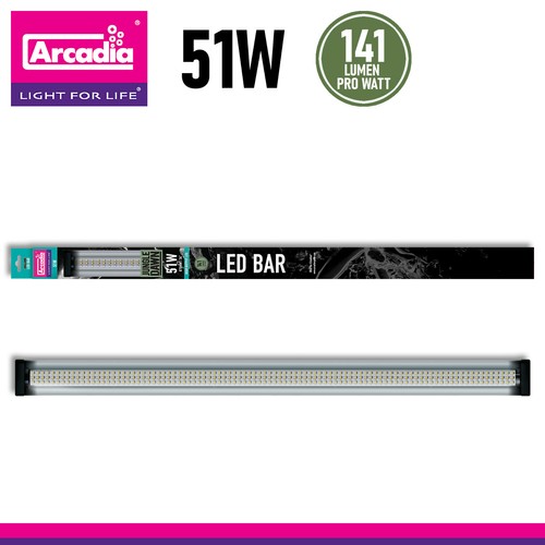 Arcadia jungle dawn - arcadia, led