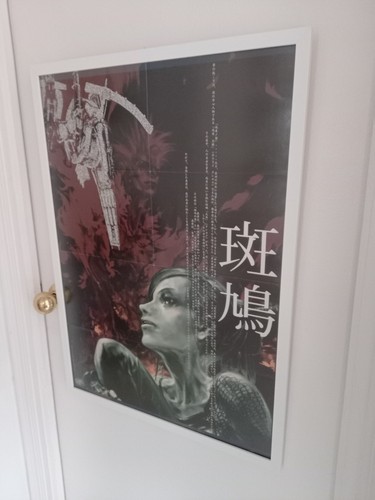 Affiche promotionnelle ikaruga - affiche,