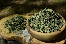 CALEA ZACATECHICHI | The