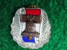 PROVIDE THE STRENGTH ENAMEL