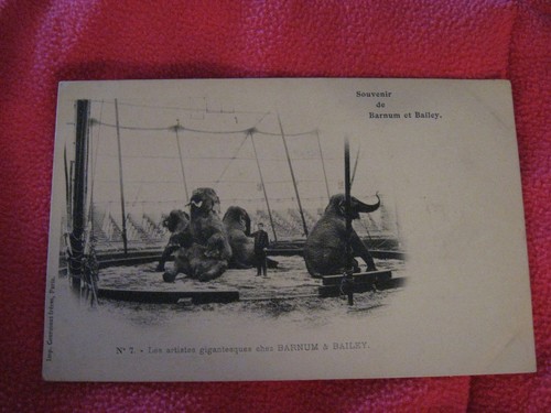 Carte postale souvenir - carte, de