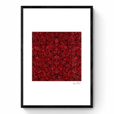 Damien Hirst, The Empresses H10-4 Suiko, Big Size