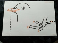 ancien croquis de sciences les animaux.le pigeon/le hanneton édition rossignol 