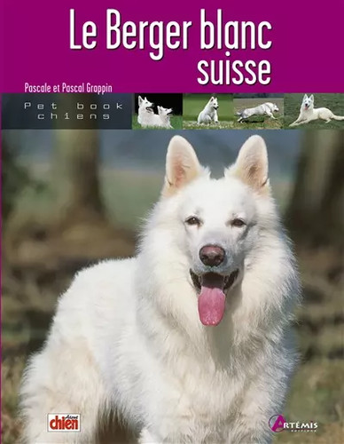 Berger blanc suisse - le,