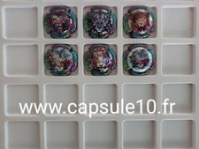 NEWS CAPSULE DE CHAMPAGNE caux