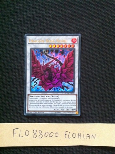 Dragon rose noire - dragon,