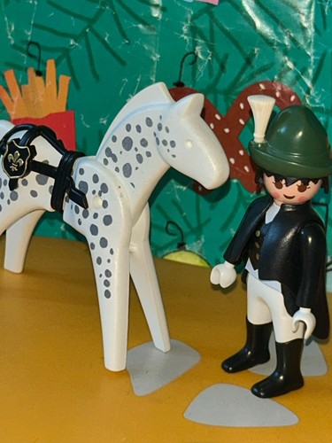 Playmobil please visit - visit, my