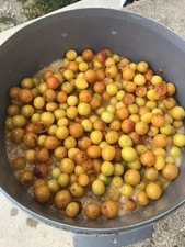 Eau De Vie De Mirabelle 2026