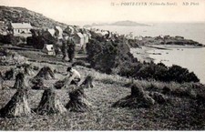 Cpa portz even - 22,
