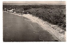 ronce-les-les-bains la plage et la forêt