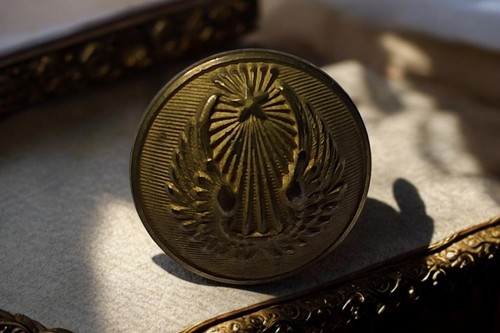 Bouton militaire aviation