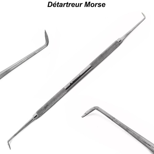 Détartreur dentaire morse - détartreur,