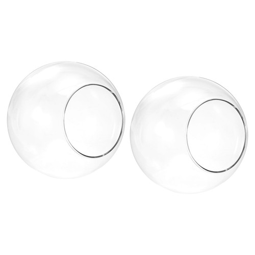 Globe terrarium air plante - globe,