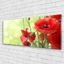 Impression sur verre acrylique Image tableau 125x50 Floral Coquelicots