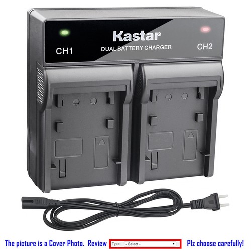 Fv100 battery dual - np-fv100, or