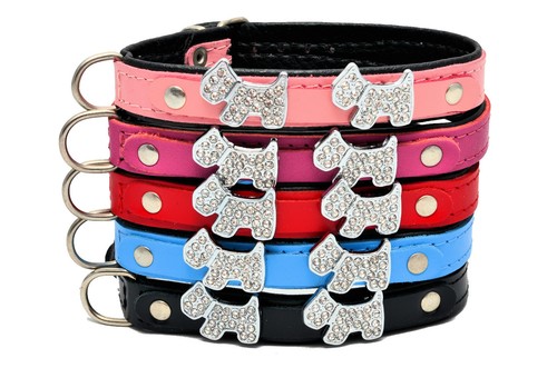 Collier cuir pour - collier,