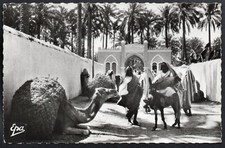 ALGERIE; SCENES et TYPES ,Marché dans le sud ; réf#1260 ; EPA, ALGER.