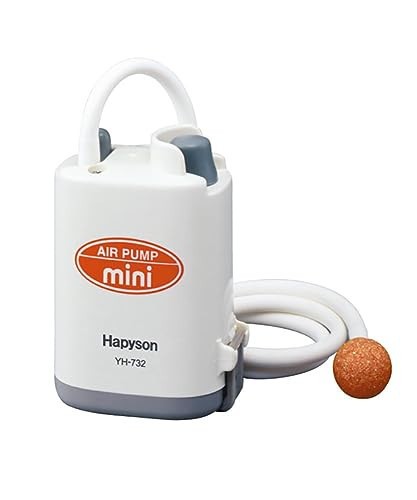 Mini pompe air - à, piles
