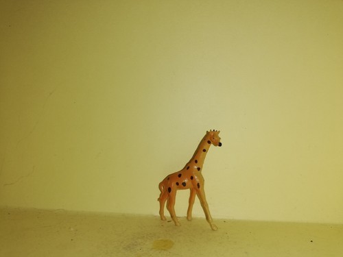 Starlux 35mm cirque girafe - starlux, #